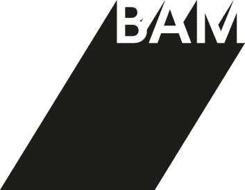 BAM projects 